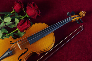 Violin, bow and three red roses on a red background.