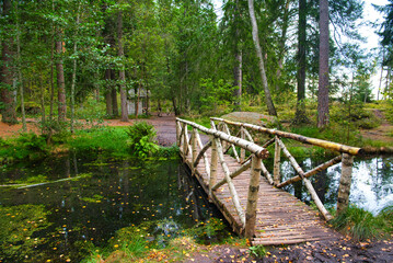 Obraz premium Birch small bridge in the forest, Park Mon Repos, Vyborg, Russia