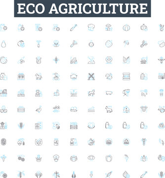 Eco agriculture vector line icons set. Organic, Sustainable, Renewable, Biodynamic, Landscaping, Regenerative, Conservation illustration outline concept symbols and signs