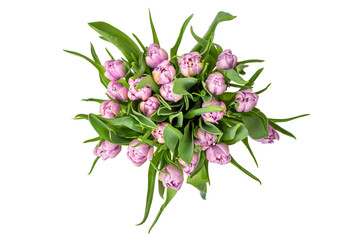 Bouquet of tulips isolated on white. Top view.