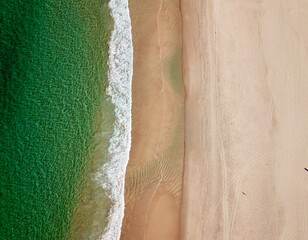 Fototapeta na wymiar Empty beach on a sunny day with calm ocean