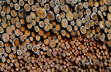 Wood stacked on farm in Wisconsin.