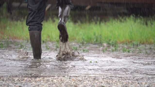 Feet Of A Happy Person With Rubber Boots Jumping in Rain Puddles