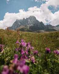 Fototapeta premium Chaukhi Pass Peaks, summer day, Georgia