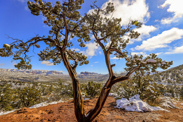 Snow among the red rock of Sedona, Arizona.