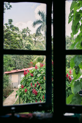 Looking Through Window to Palm Trees and Pink Flowers in Vinales