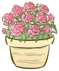 カーネーションの鉢植えのイラスト　ピンク色