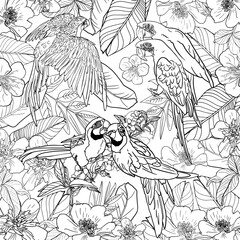 Antistress coloring page. Macaw and Cockatoo parrots in nature, fly, sit, play. Natural background of flowers and leaves. For tattoo, coloring, print, cards, clothes, children game, designers