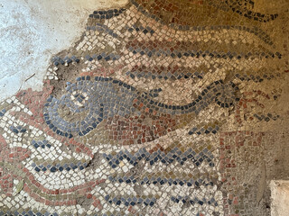 Fish Floor Mosaic at Ruins of Ancient Carthage