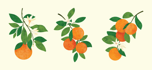 Orange tree branch