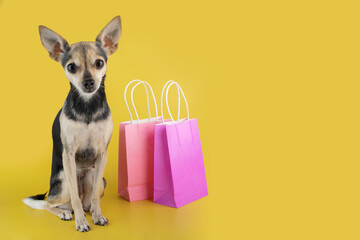 cute dog with shopping bags with pet goods on a yellow background, buying dog accessories, copy space