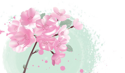 Hand-drawn vector illustration of cherry blossoms in bloom in spring