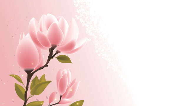 Hand-drawn vector illustration of spring blooming pink magnolia