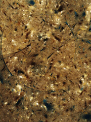 brown abstract fractal background 3d rendering illustration