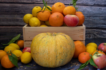 Freshly picked lemons, oranges, tangerines, apples and pumpkin in a Wooden Crate.