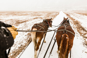 Cropped hands of person riding horse cart during snowfall