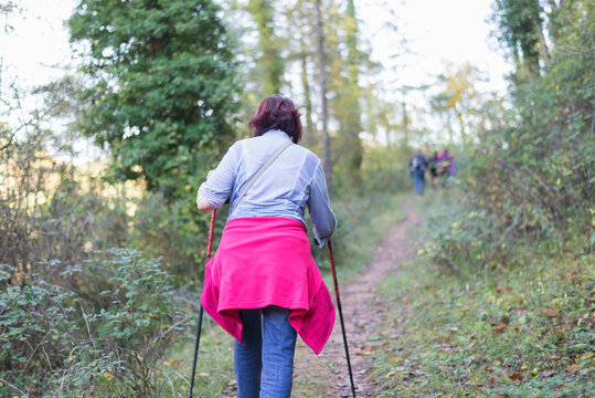 Rear view of woman walking on trail in forest