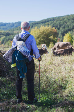 Rear view of man with backpack looking at cows field against clear sky
