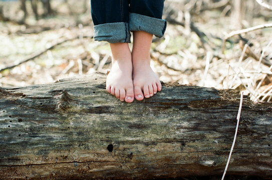 Low section of boy standing on fallen tree in forest