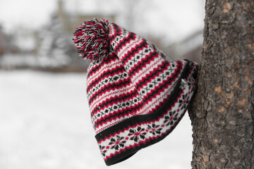 Close-up of knit hat hanging on tree trunk during winter