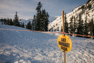 Ski sign on wooden stick at North Cascades National Park during winter