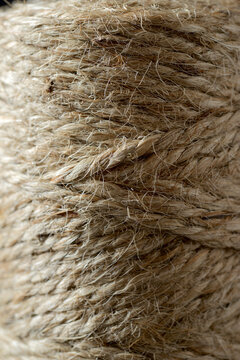 Close-up of rolled up ropes