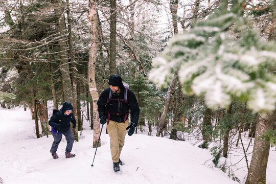Full length of friends with hiking poles exploring forest during winter