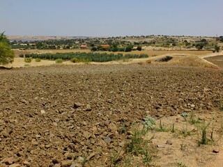 Typical Extremadura landscape in rural regions - Spain 
