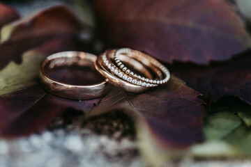 golden wedding rings on a leaf