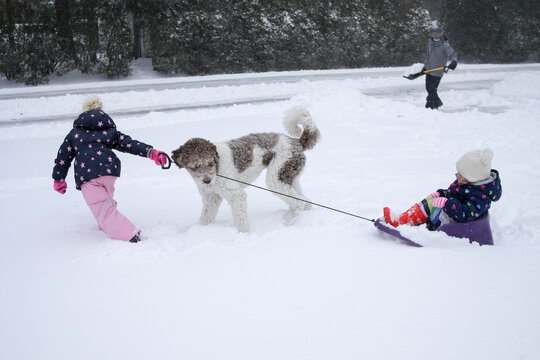 Girl by dog pulling sled with sister while father removing snow from road during winter