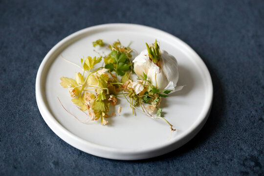 High angle view of dry parsleys with garlic bulb on plate on table