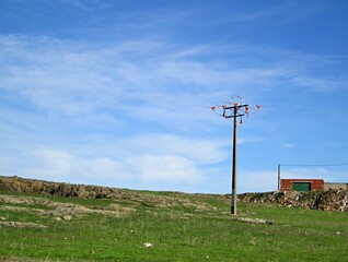 Fototapeta na wymiar Typical Extremadura landscape in rural regions - Spain 