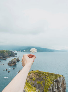 Cropped hand of woman holding flowers by sea against cloudy sky