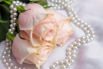 The branch of pink rose on white fabric background
