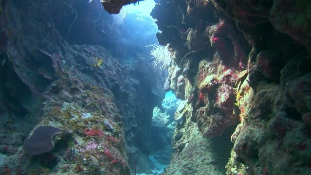 Shape of cave and colors of coral and reefs are stunning. Contamination from shoreline construction and drainage can suffocate corals and reduce water quality.