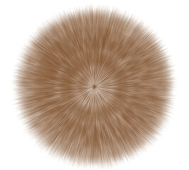 Abstract rays. Circle Shape Spikes. Brown Spore Prickle