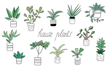 Fototapeta na wymiar Houseplants in pots. Decorative green plants for home and office isolated on white background. Colored flat vector illustration.
