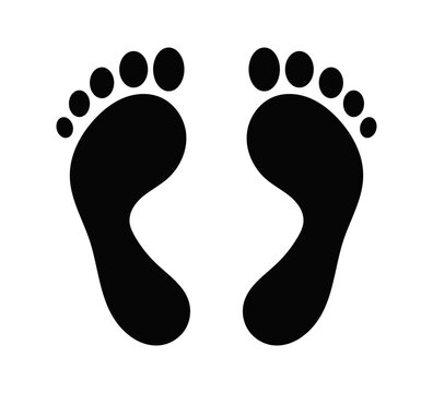  footprint vector icon