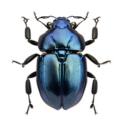 scarabée bleu sur fond transparent - generative ai	
