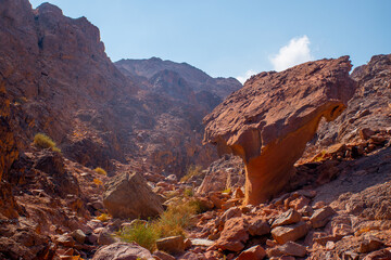orange rocks in the desert landscape