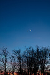 Planets in conjunction with young Moon above tree countryside silhouettes.