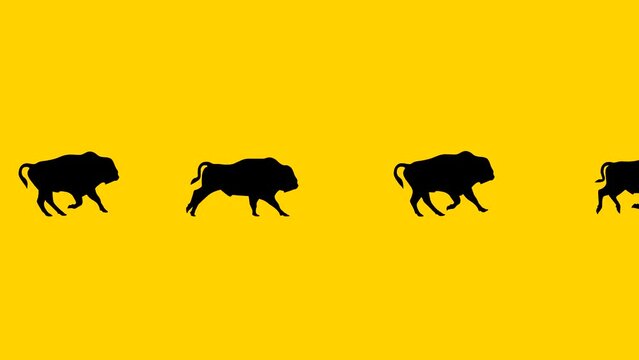 Galloping bisons, animation on the yellow background (seamless loop)
