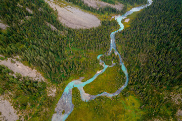 Aerial view of blue river meander in green forest vegetation of delta