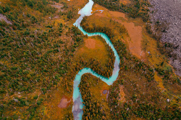 Aerial view of green river meander in yellow forest vegetation of delta