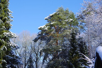 Winterlandschaft im März 2023 - 40 Km von der Nordsee