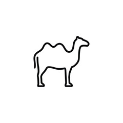 Camel line icon isolated on white background