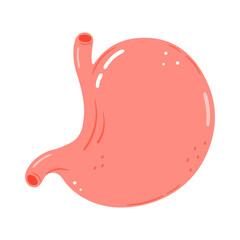 Cute funny stomach character. Vector hand drawn cartoon kawaii character illustration icon. Isolated on white background. Stomach character concept
