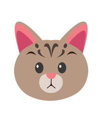 cartoon cat. pet characters illustration