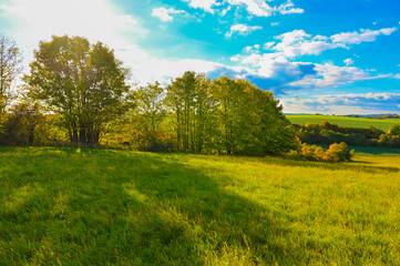 Beautiful landscape in nature - Czech Republic. Sun sky and green trees with grass at sunset.