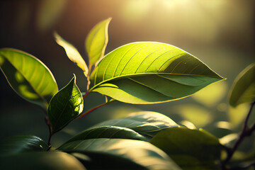 Fototapeta na wymiar beautiful green tea leaves with sunlight. generative ai
